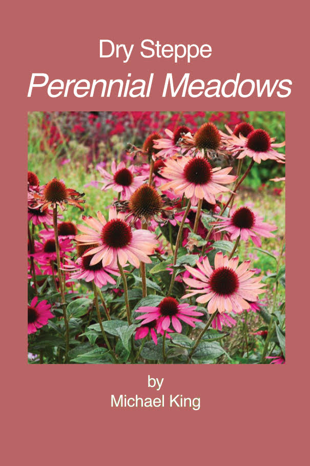 dry-steppe-perennial-meadows