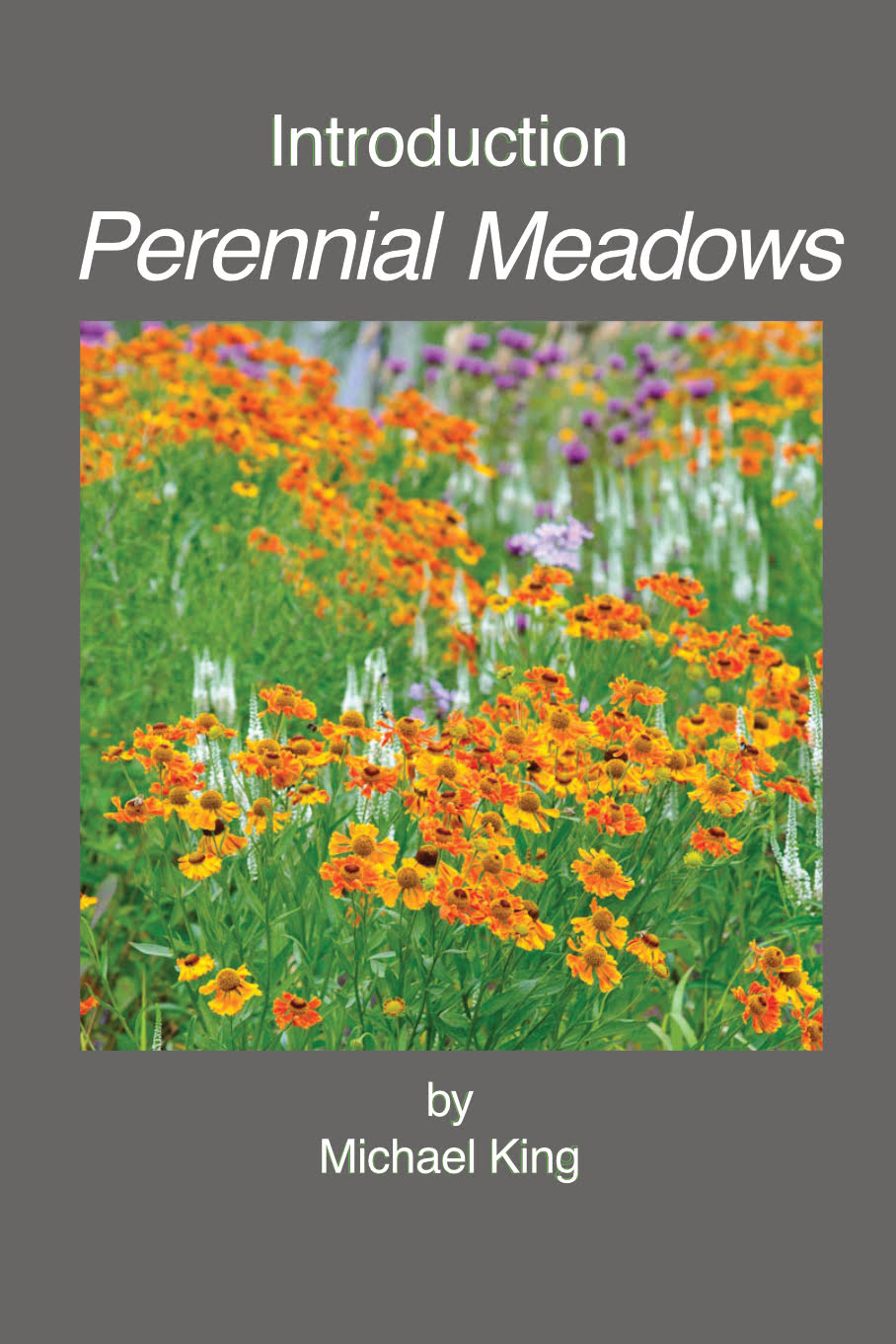 introduction-perennial-meadows