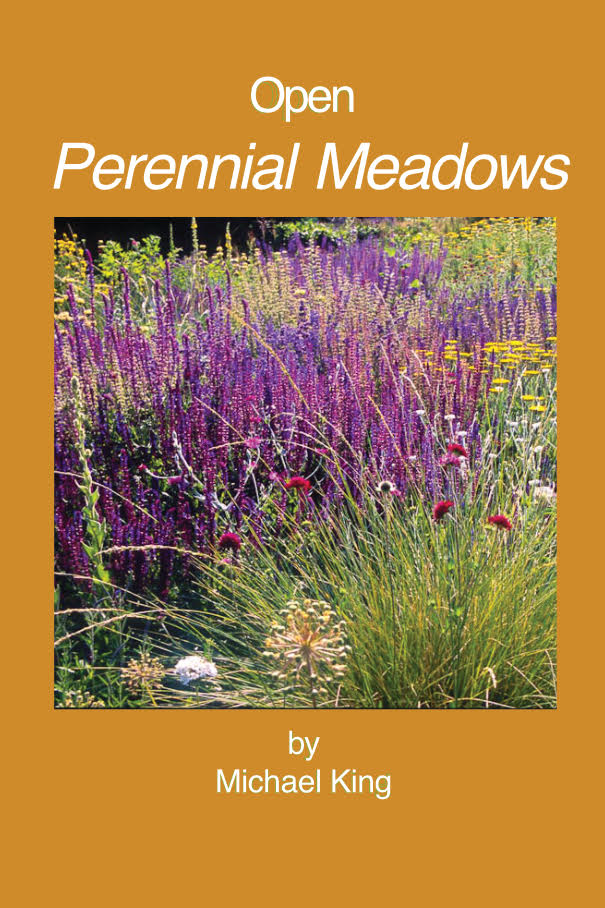 open-perennial-meadows