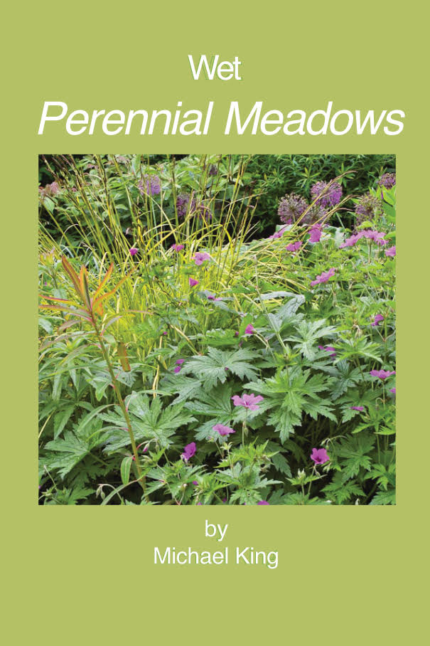 wet-perennial-meadows