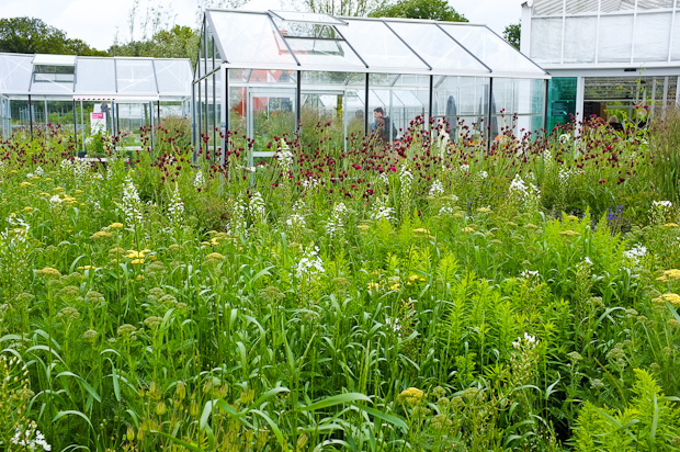 Thoughts on planting combinations at Floriade 2012