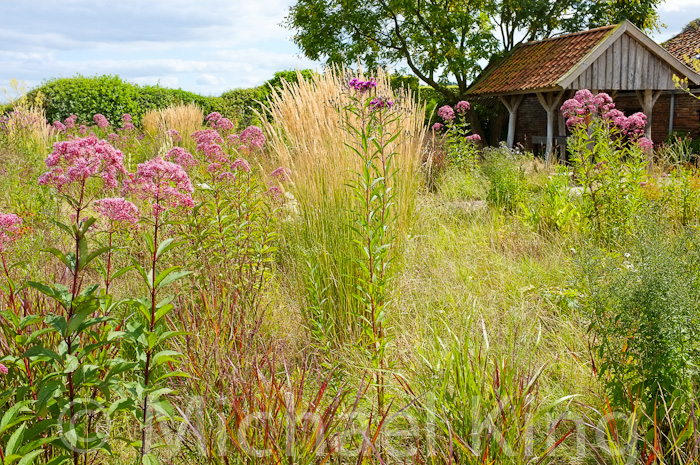The Oudolf Garden – Captivating Chaos