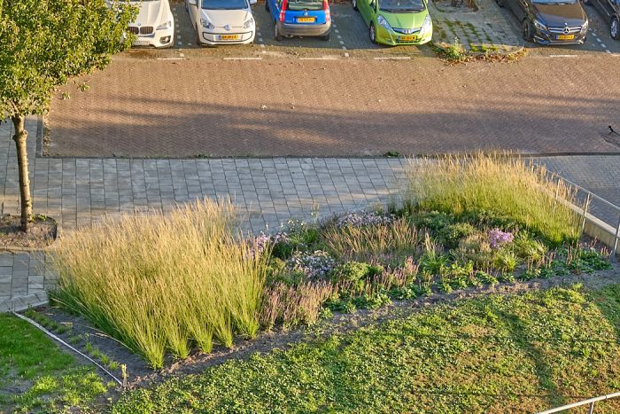 Planting Recipe using Purple Moor Grass