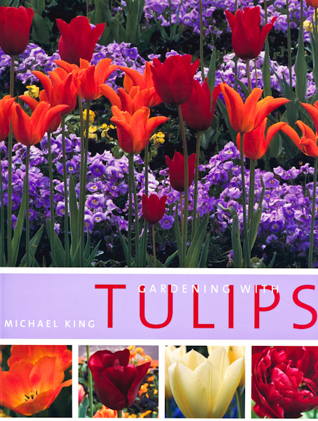 Red Tulips, Green Garden