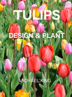 81s0iGFDbVL._SL1500_