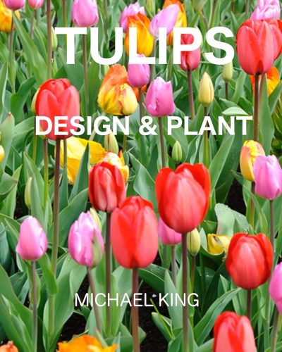 81s0iGFDbVL._SL1500_