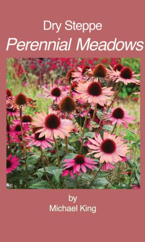 dry-steppe-perennial-meadows