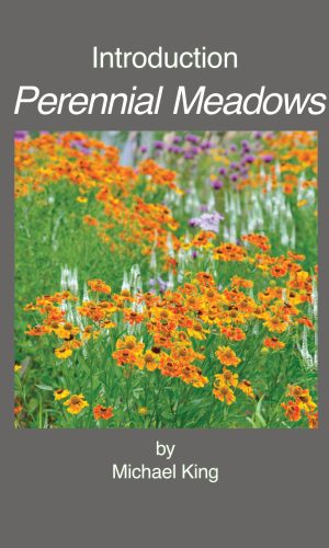 introduction-perennial-meadows