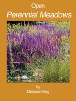 open-perennial-meadows