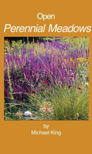 open-perennial-meadows
