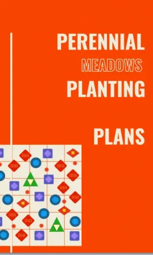 perenial-planting-plans