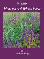 prairie-perennial-meadows