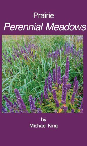 prairie-perennial-meadows