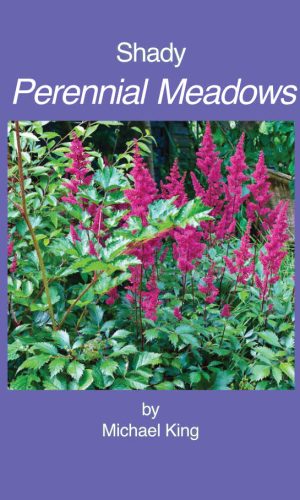 shady-perennial-meadows